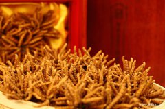长春回收冬虫夏草 收购礼品 鱼胶海参